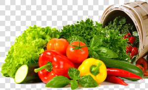 Cropped Head 1 3   Make Vegetables Salad At Home  HD Png Download