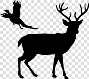 White tailed Deer Reindeer Elk   Deer Silhouette Png  Transparent Png