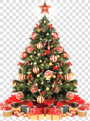 Arvore De Natal Png   Christmas Tree With Gift  Transparent Png