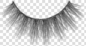 Faux Mink Lash   Noelle Huda Beauty Lashes  HD Png Download