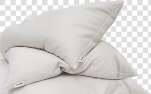 Buckwheat Pillows  HD Png Download