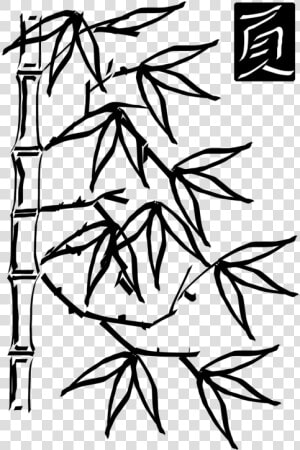 Line Art plant flora   Bamboo Clip Art Black And White  HD Png Download