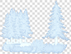 Arboles Con Nieve Png  Transparent Png