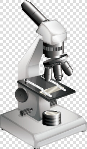 Microscope Bacteria Clip Art   Microscopic Png  Transparent Png