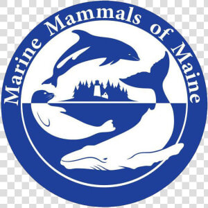 Marine Mammals Of Maine  HD Png Download