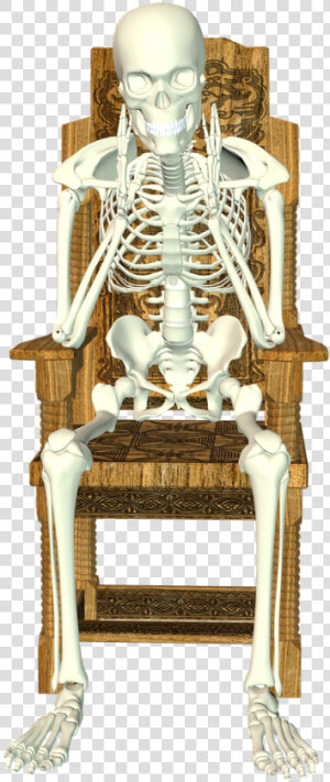 Human Skeleton Skeleton Sitting In Chair  HD Png Download