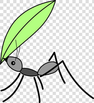 Transparent Hormiga Png   Ant With Leaf Drawing  Png Download