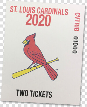 Transparent Cardinal Clipart   St Louis Cardinals  HD Png Download