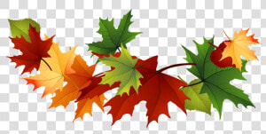 Transparent Leaves Clipart   Falling Fall Leaves Clip Art  HD Png Download