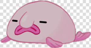  blobfish  blob  blobby  pink  pinkfish  fish  sea   Transparent Blob Fish Png  Png Download