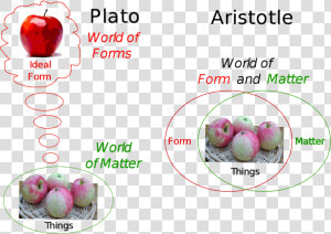 Aristotle Forms  HD Png Download