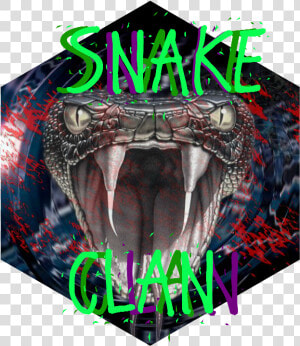 Snake Fangs Venom Poison Wallpaper   Black Mamba Snake Angry  HD Png Download