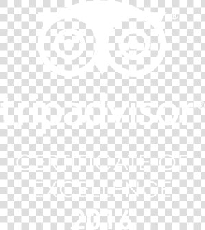 Transparent Tripadvisor Icon Png   Tripadvisor Llc  Png Download