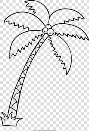 Palm Tree Coloring Page   Palm Tree Drawing Big  HD Png Download