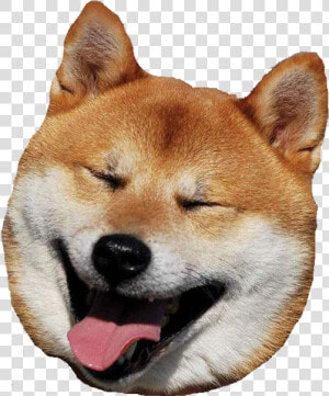 Big Shiba Inu Head Transparent Huge   Shiba Inu Laughing  HD Png Download