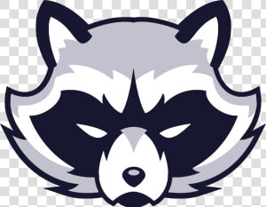 Animal  Face  Logo  Raccoon  Vicious  Wild   Raccoon Art Png  Transparent Png