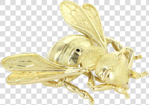 French Hallmarked Vintage Bumble Bee Insect Brooch   Membrane winged Insect  HD Png Download