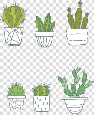 Cactaceae Succulent Plant Clip Art   Cactus  HD Png Download