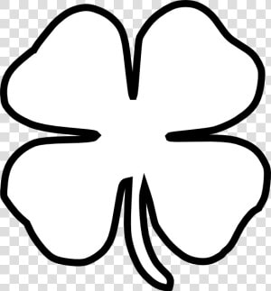 Four leaf Clover Black And White Clip Art   4 Leaf Clover Drawing  HD Png Download