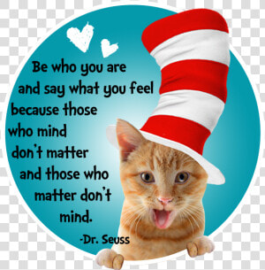 Seuss Quotes Clipart   Dr Seuss Quotes  HD Png Download