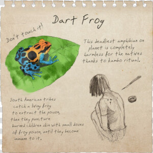 Dart Frog Notebook Page   Green Hell Dart Frog  HD Png Download