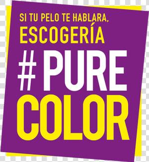 Logo Purecolor   Poster   Poster  HD Png Download