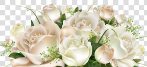 White Rose Bunch   Wedding Themes Vector  HD Png Download