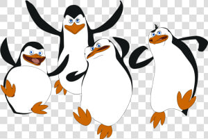 Transparent Madagascar Png   Penguins Of Madagascar  Png Download