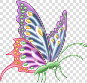 Butterfly Designs For Assignment  HD Png Download