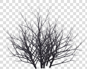 Bush Png Black And White   Dead Bush Png  Transparent Png