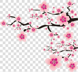  flowers  meihua  china  pink  nature  ftestickers   Japanese Cherry Blossom Png  Transparent Png