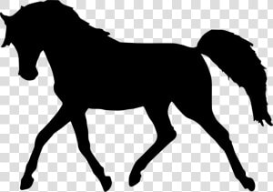 Horse Walking Black Silhouette Facing To Left   Transparent Background Horse Clipart  HD Png Download