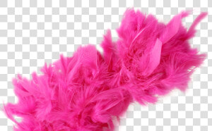 Transparent Feather Boa Png   Pink Feather Boa Png  Png Download