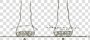 Foot Care And Shoe Fitting fig5 Cross Section Of Feet   Metatarsal Bones Forming Anterior Arch  HD Png Download