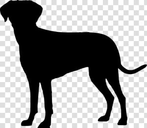 Labrador Retriever Puppy Image Clip Art Dog Breed   Cachorro Silhueta Png  Transparent Png