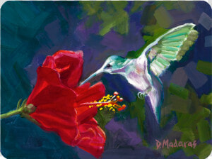 Tucson Art   Ruby throated Hummingbird  HD Png Download