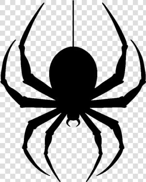 Spider Dangling Clipart Donovan Mitchell Wallpaper   God Creating Spiders Meme  HD Png Download