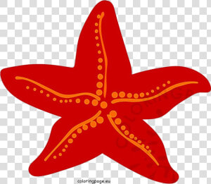 Starfish Red Clipart Sea Life Coloring Page Transparent   Starfish Clipart Red  HD Png Download