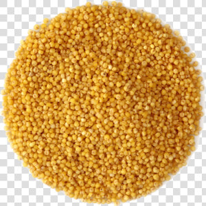 Small Pile Of Grain   Rapeseed  HD Png Download