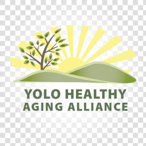 The Voice For Older Adults In Yolo County   Graphic Design  HD Png Download