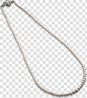 Graduated Saltwater Pearl Necklace   Chain  HD Png Download