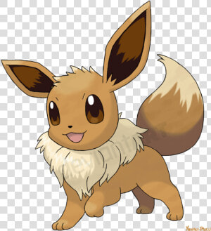 Eevee Evoli   Png Download   Transparent Background Eevee Transparent  Png Download