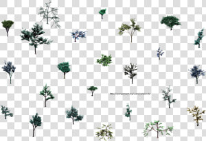 Hjm Small Trees Roots 1 Alpha   Tree Isometric Png Lines  Transparent Png