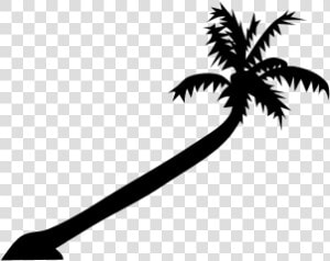 Free Vector Palm Tree   Palm Trees Leaning Drawing  HD Png Download