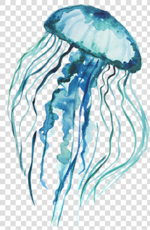 Jelly Tentacles Png   Transparent Background Jellyfish Png  Png Download