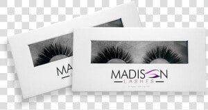 Lashbox Mock   Lashes In Box Png  Transparent Png