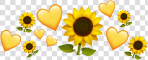  crown heart  эмоджи   Sunflower  HD Png Download