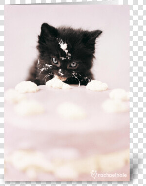 Let There Be Cake Greeting Card   Black Kitten Cake  HD Png Download