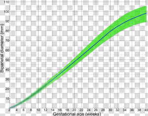 Biparietal Diameter By Gestational Age   Biparietal Diameter Gestational Age  HD Png Download