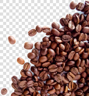 The Coffee Bean  amp  Tea Leaf Espresso Cafe Dolce Gusto   Coffee Beans Transparent Background  HD Png Download